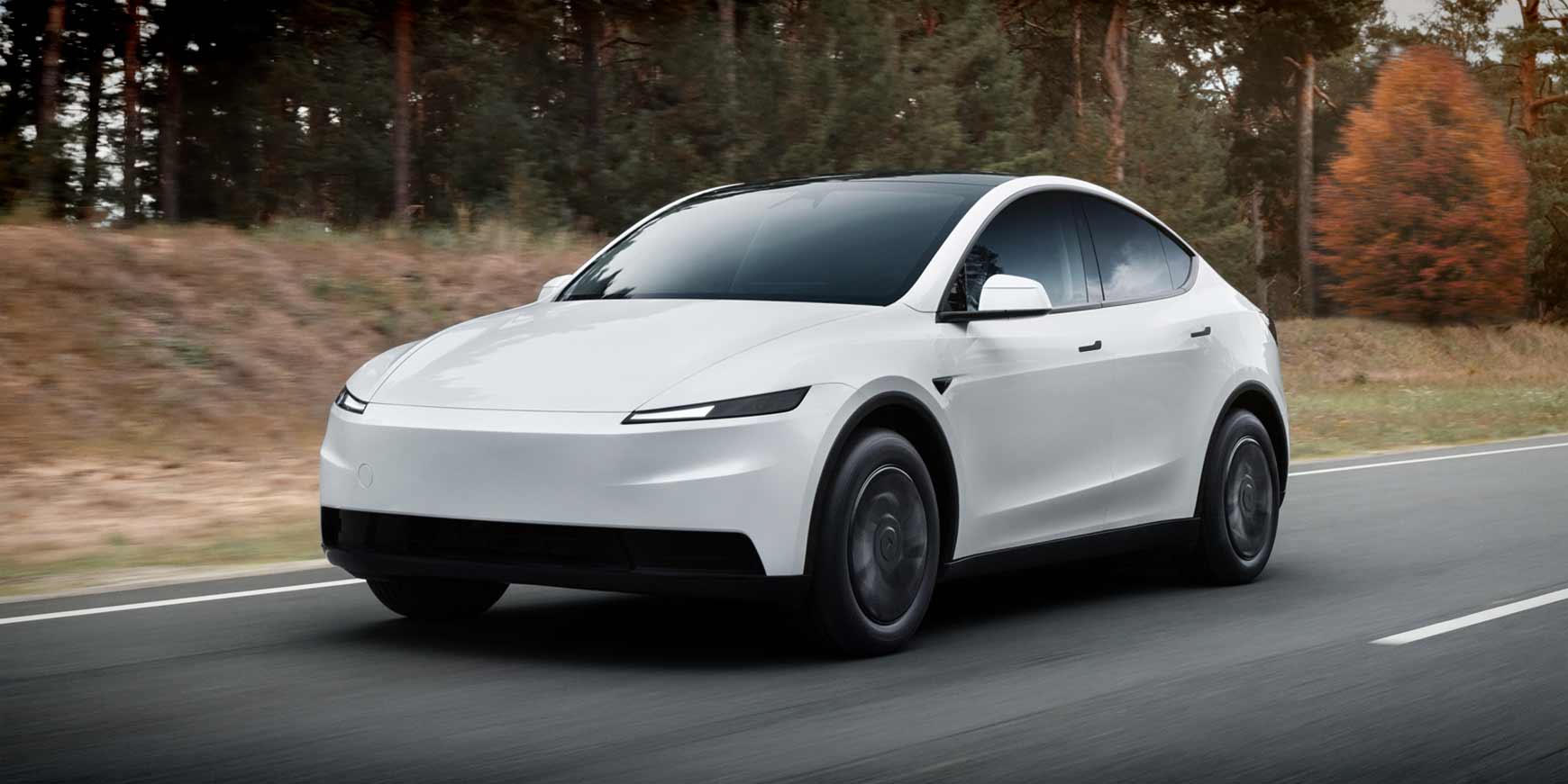 Model Y