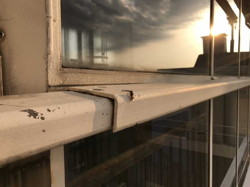 Testet: iPhone 7 Plus 4 IMG 0003