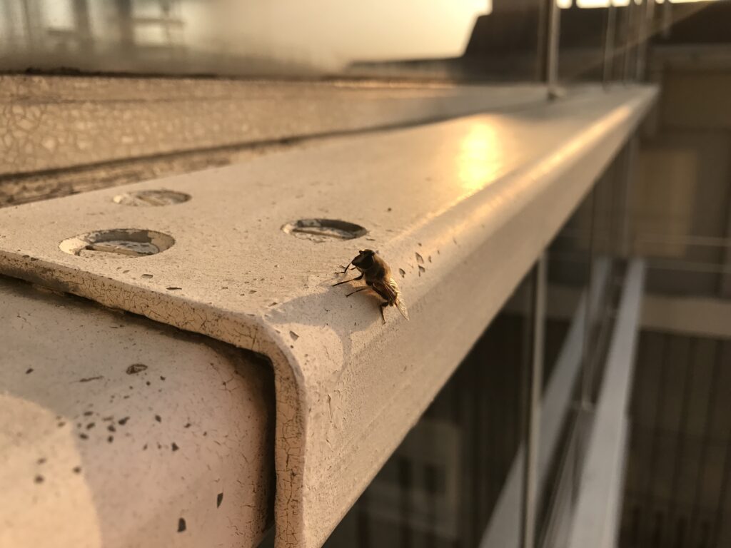 Testet: iPhone 7 Plus 5 IMG 0007