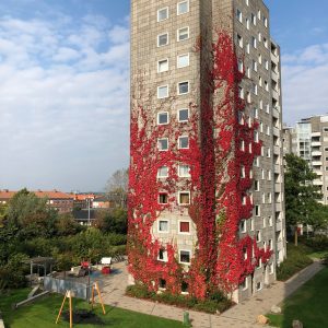 Apple iPhone 8 Plus – Smaddergod og møgkedelig 6 IMG 0016 e1507211999915