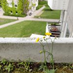 Anmeldelse: OnePlus 6 5 IMG 20180521 122553