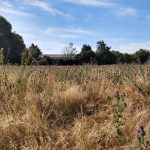 Motorola Moto G6 Plus 4 IMG 20180712 094610735 HDR