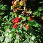 Huawei Mate 20 Lite 4 IMG 20180922 162000