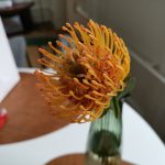 Huawei Mate 20 Pro 6 IMG 20181025 135123