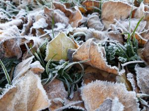 Samsung Galaxy A7 2018 5 20181126 101929