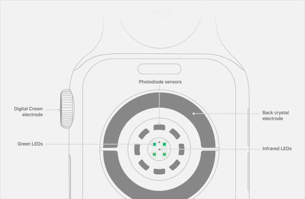 Apple Watch bruger indbygget EKG-teknologi til at forbedre pulsmåling – også herhjemme 2 watch series4 measure ecg sensors