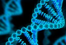 Microsoft har bygget disk der lagrer data i DNA 4 2019 0328 microsoft dna