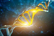 Forskere har fundet de genetiske varianter der forhindrer overvægt 3 overvægt