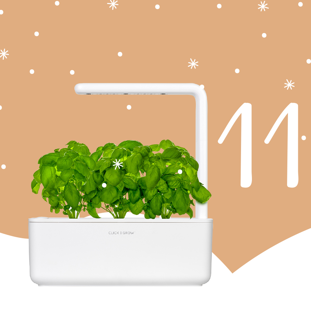 iNPUT Julekalender 2019 12 011 laage