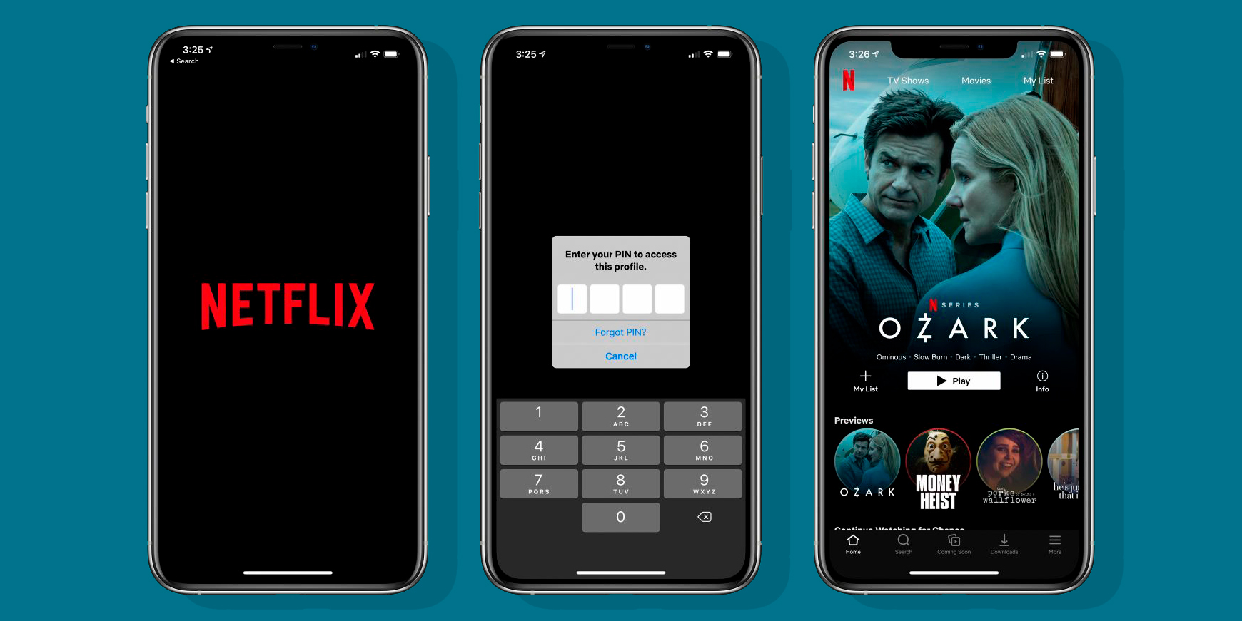 Nu kan du holde snushaner ude af din Netflix-profil med pinkode 6 Netflix