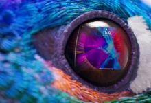 Apples absurde blik for detaljer ... 4 detaljer