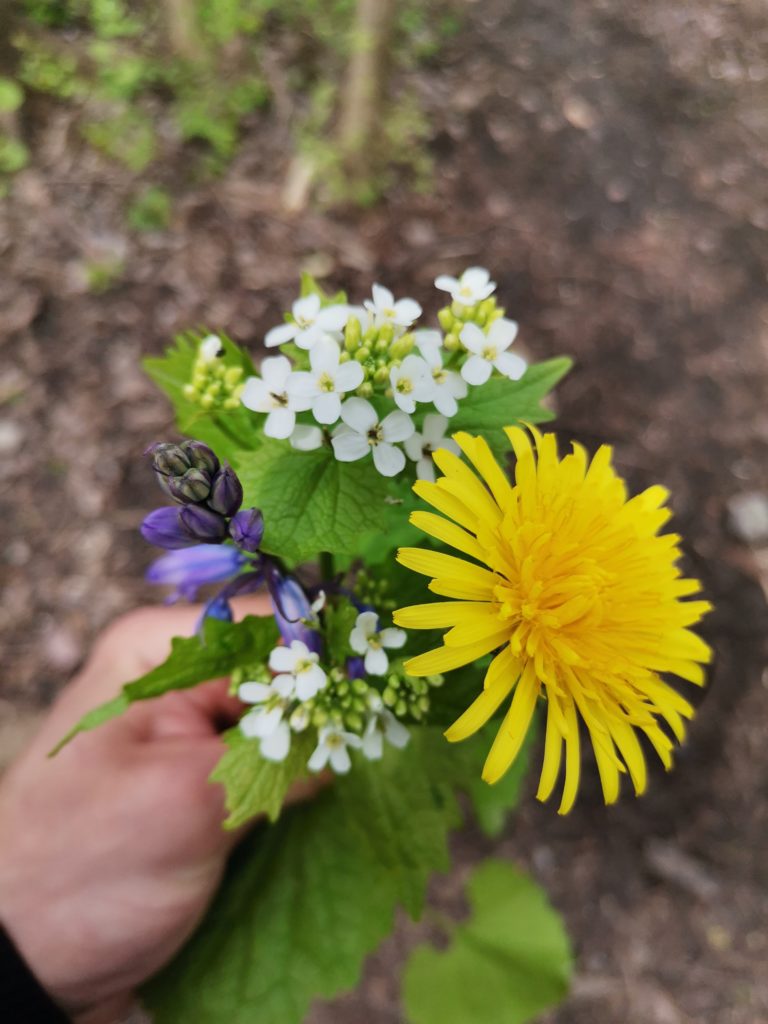 Anmeldelse: Huawei P40 Lite 10 IMG 20200427 135851