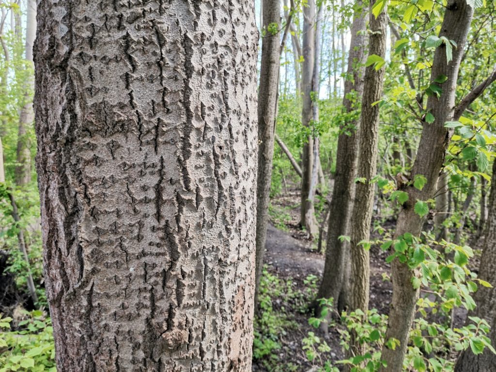 Anmeldelse: Huawei P40 Lite 13 IMG 20200503 123917