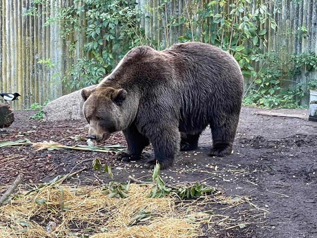 Anmeldelse: Apple iPhone 12 Pro 9 iPhone 12 Pro 1 3