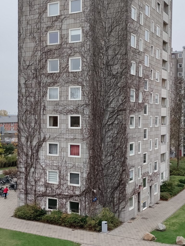 Anmeldelse: OnePlus Nord N10 7 OnePlus Nord N10