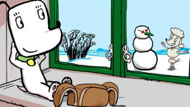 Paramount+ bekræfter første danske produktion 13 Hunden Ib