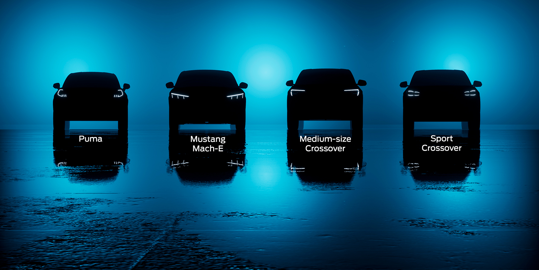 Ford har 7 nye elbiler klar inden for to år 13 Ford Mustang Mach-E