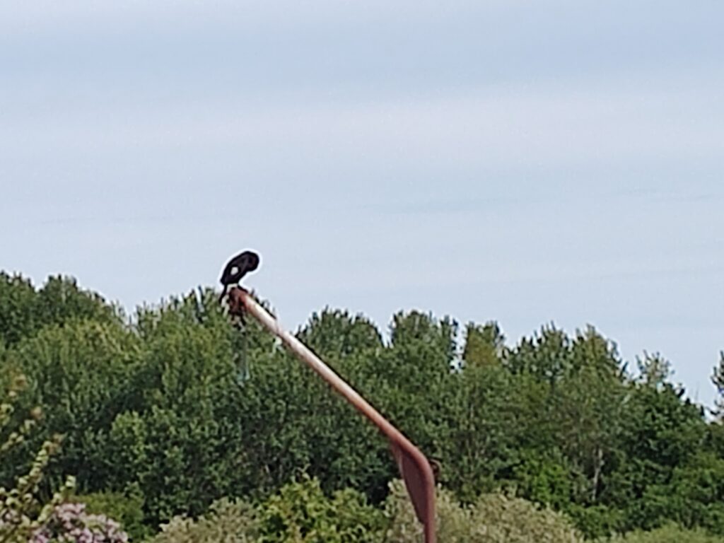 IMG 20220517 104547374