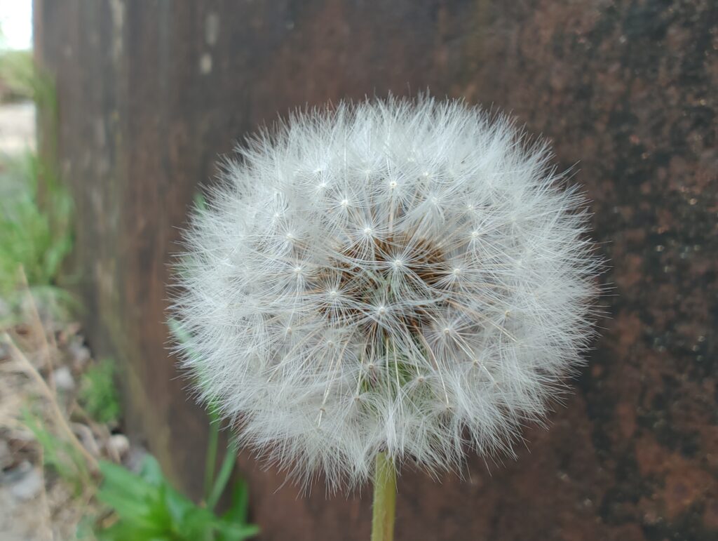 IMG 20220517 104744445