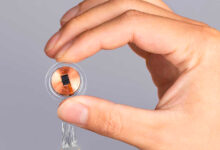 Aarhus Universitet går Elon Musk i bedene 4 Aarhus Universitet