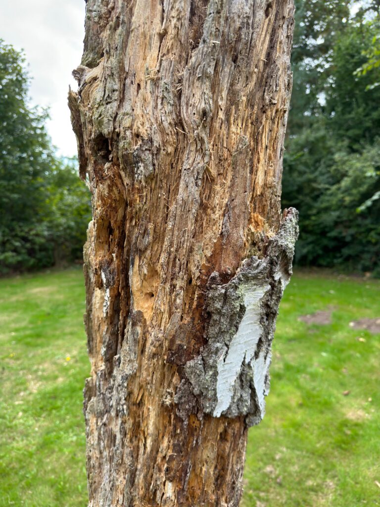 Anmeldelse: Apple iPhone 14 Pro 5 IMG 0001