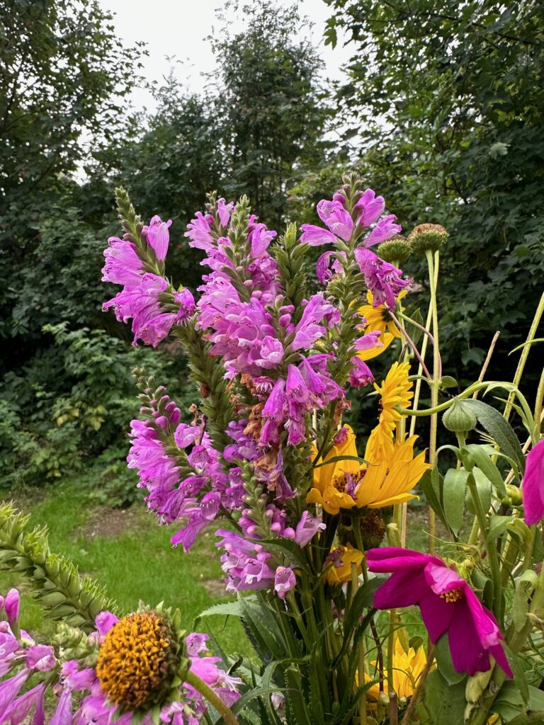 Anmeldelse: Apple iPhone 14 Pro 7 IMG 0005