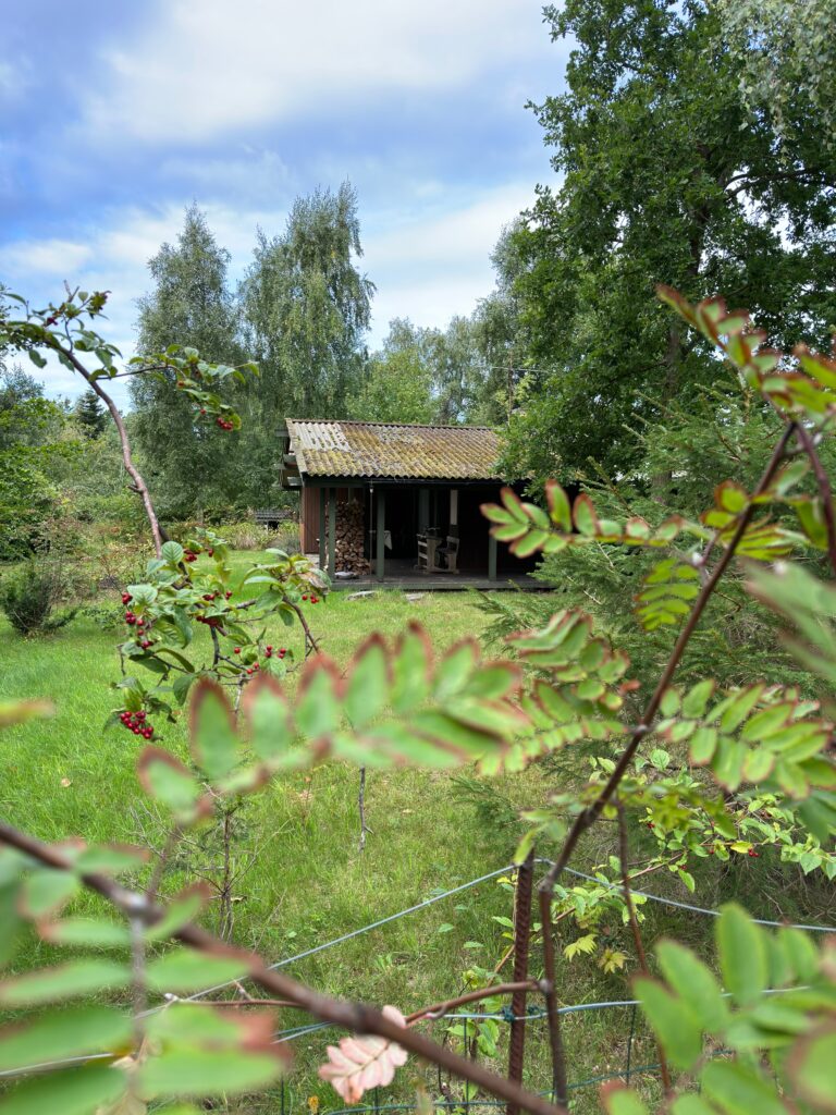 Anmeldelse: Apple iPhone 14 Pro 10 IMG 0012