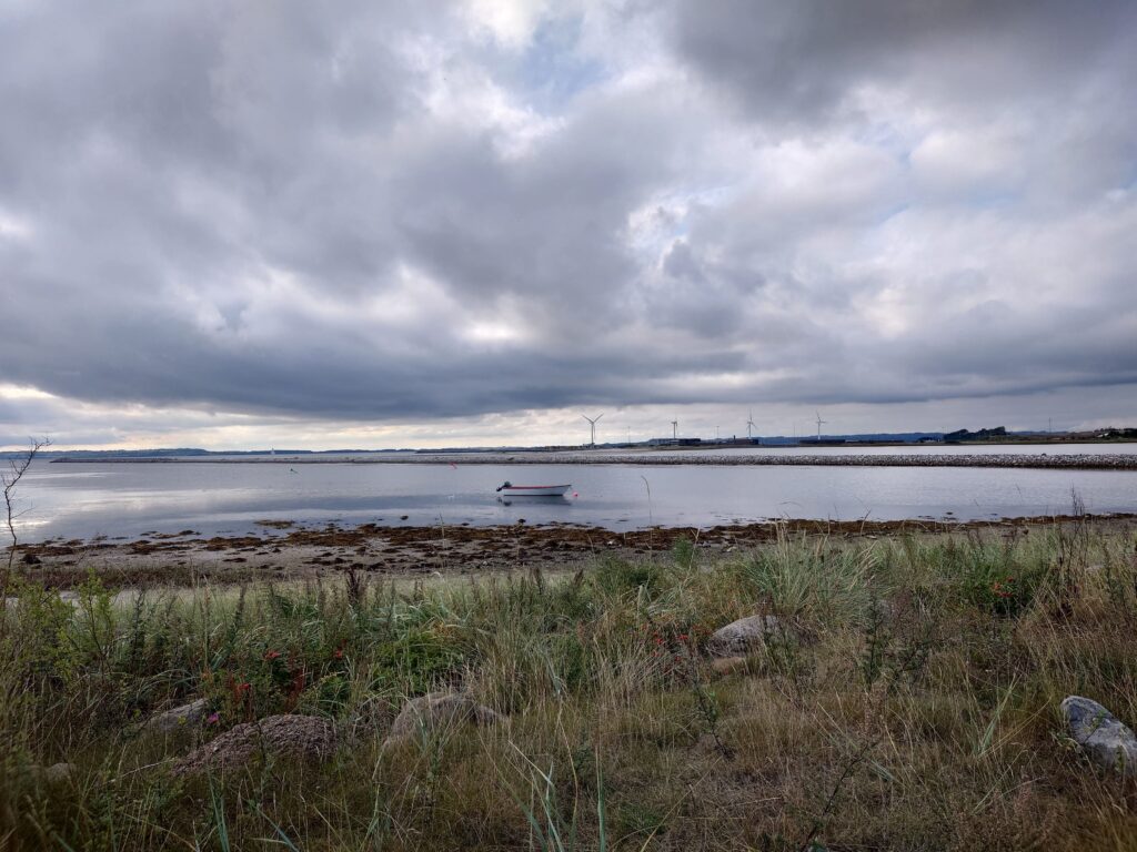 Anmeldelse: Sony Xperia 1 IV 15 Sony Xperia 1 IV normal