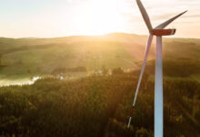 17 amerikanske stater og Washington D.C. sagsøger Trump for at blokere vindenergi 3 grøn strøm