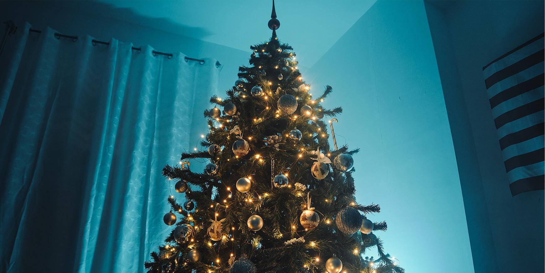 Dette kommer til at ligge under juletræet i år 3 juletræet