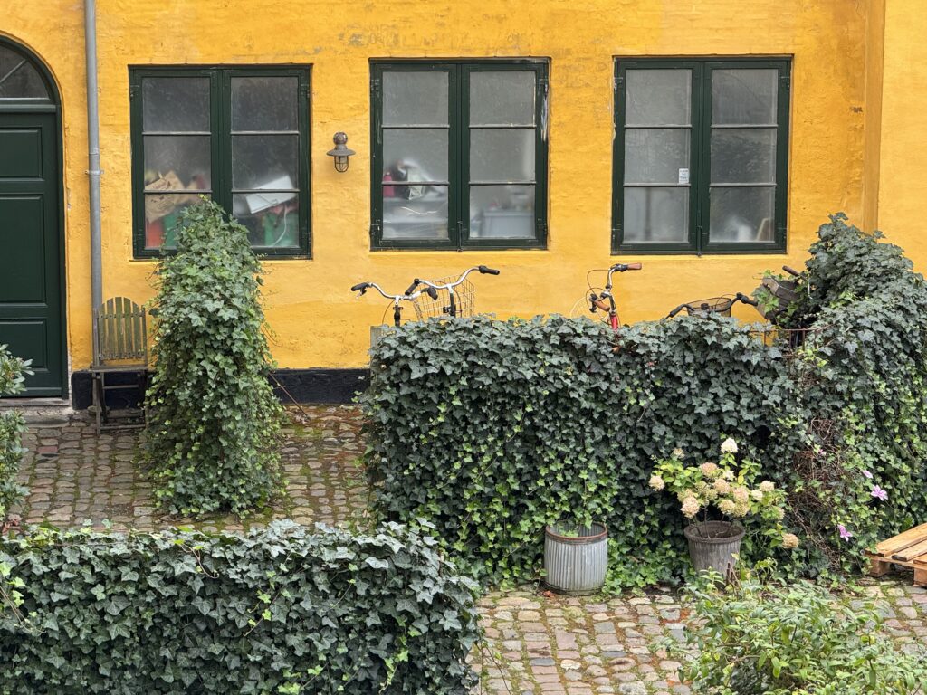 iPhone 15 Pro (Max) anmeldelse: Endnu et skridt på vejen 5 IMG 0048 3