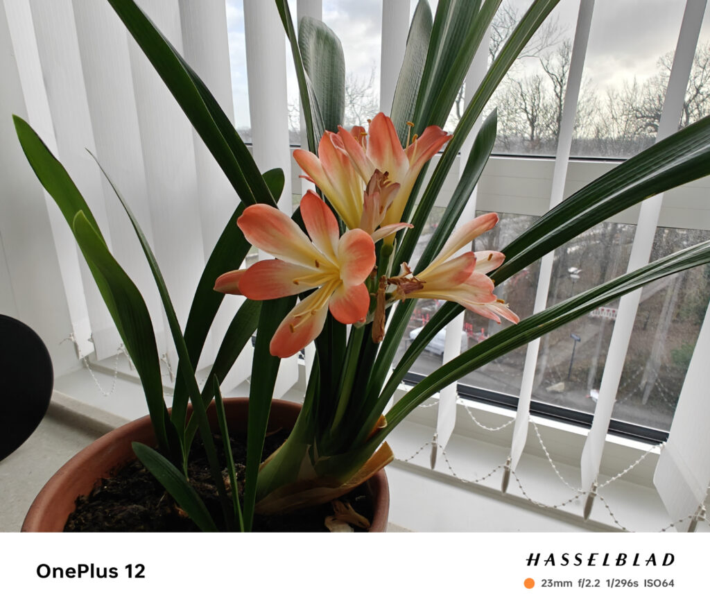 Anmeldelse: OnePlus 12 7 2024 0123 op12 004