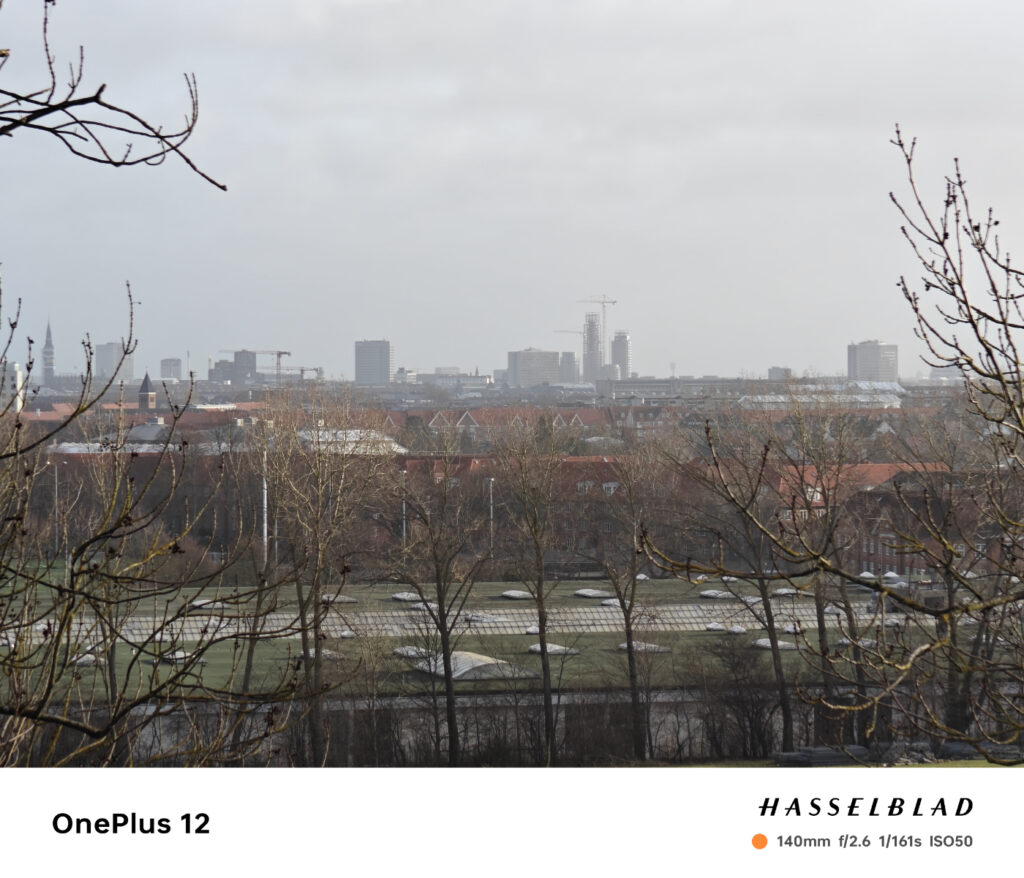 Anmeldelse: OnePlus 12 14 2024 0123 zoom 0004