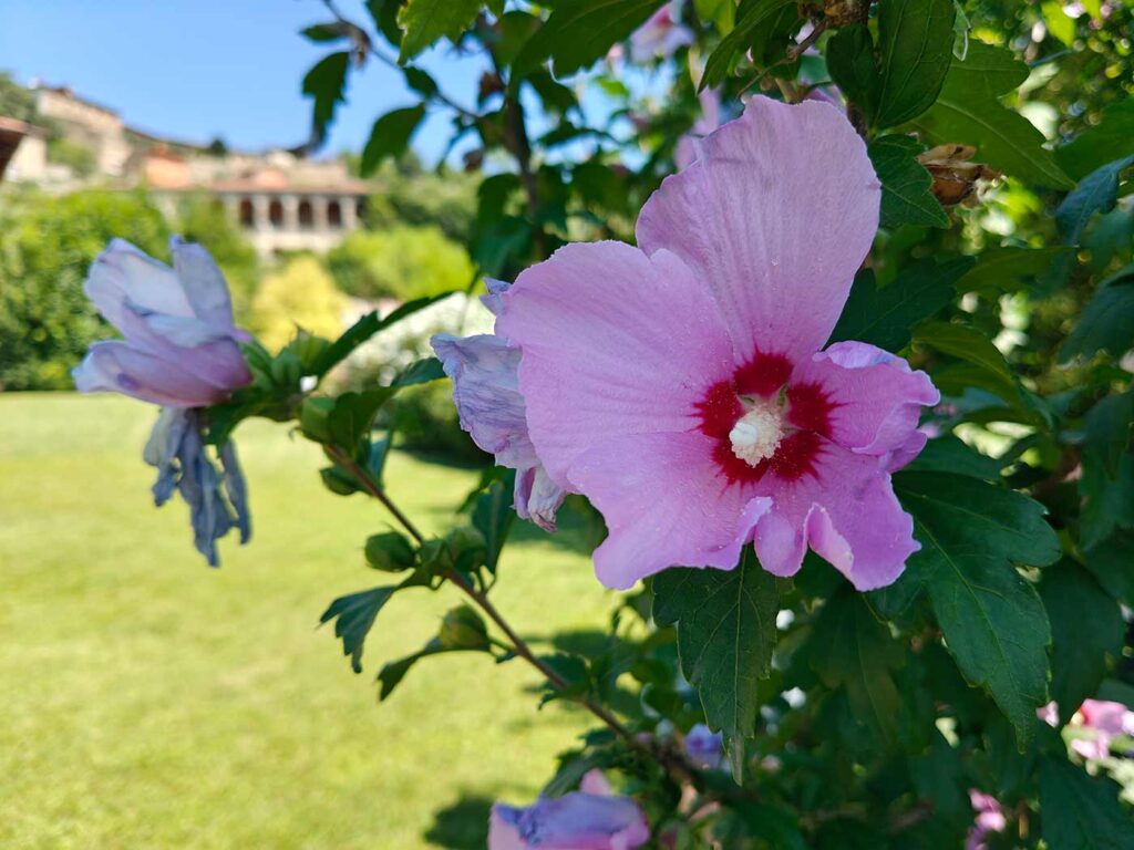 Anmeldelse: OnePlus Nord 4 8 2024 0819 oneplus nord kamera 01