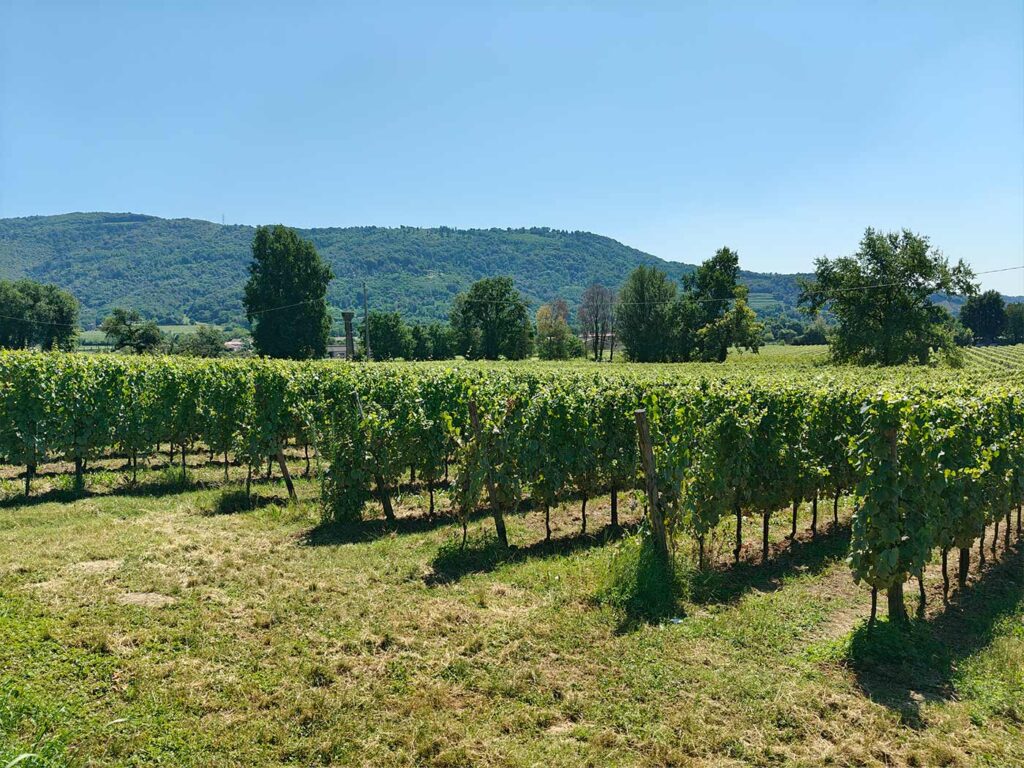 Anmeldelse: OnePlus Nord 4 9 2024 0819 oneplus nord kamera 03