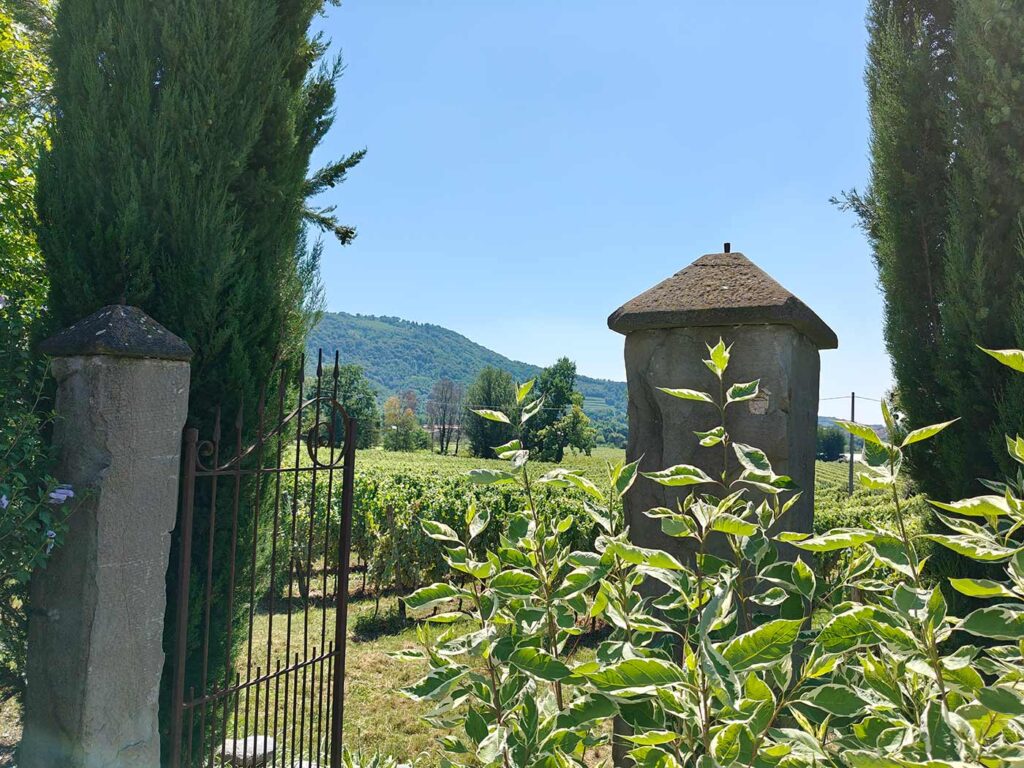 Anmeldelse: OnePlus Nord 4 12 2024 0819 oneplus nord kamera 05