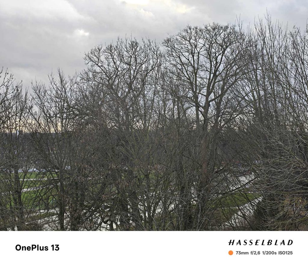 Anmeldelse: OnePlus 13 8 2025 0107 oneplus 13 006