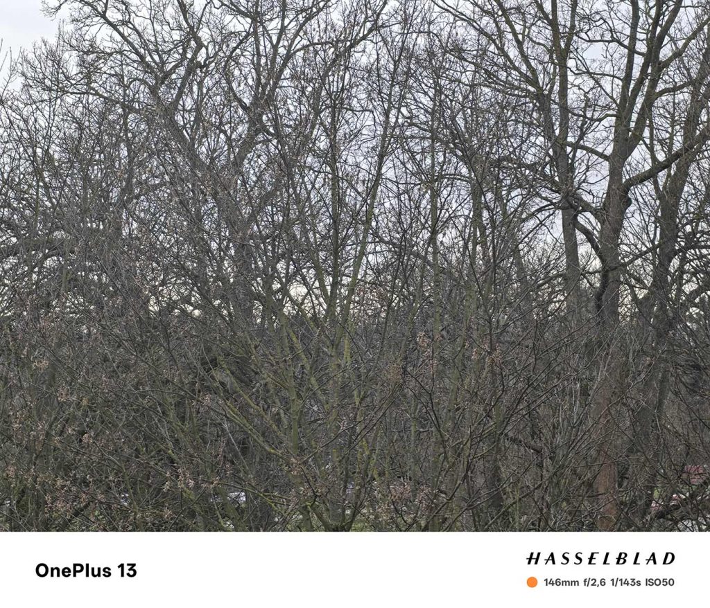 Anmeldelse: OnePlus 13 9 2025 0107 oneplus 13 007