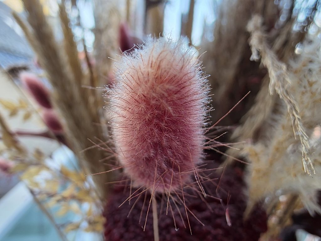 Anmeldelse: Samsung Galaxy S25 Ultra 7 1000002949