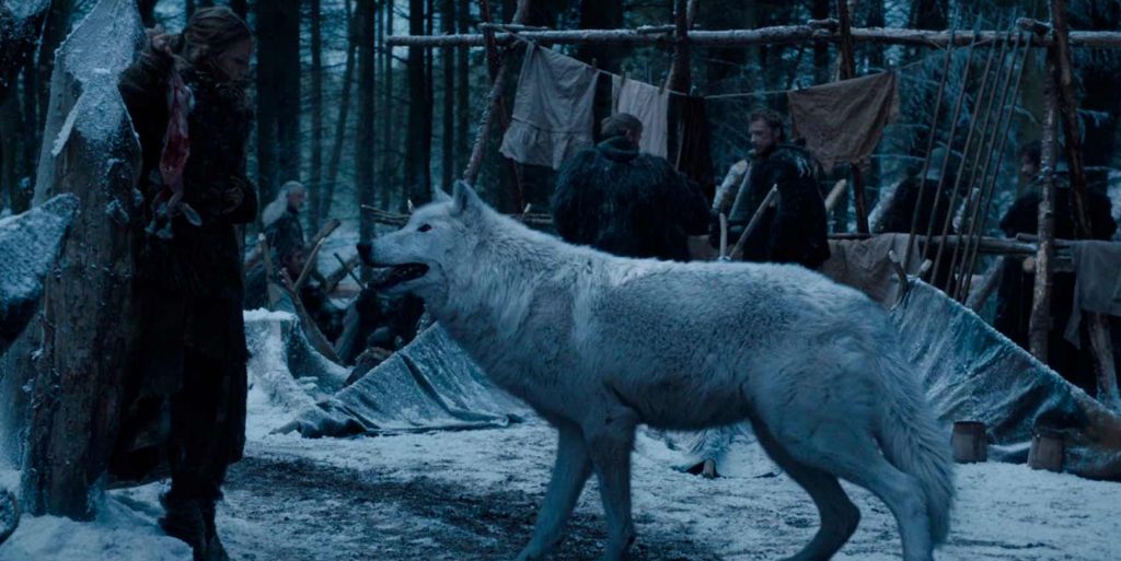 Forlængst uddød dire wolf genoplivet ved hjælp af CRISPR 2 2025 0408 dire wolf got