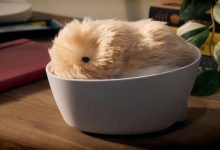 Moflin er en tamagotchi med kunstig intelligens 7 moflin