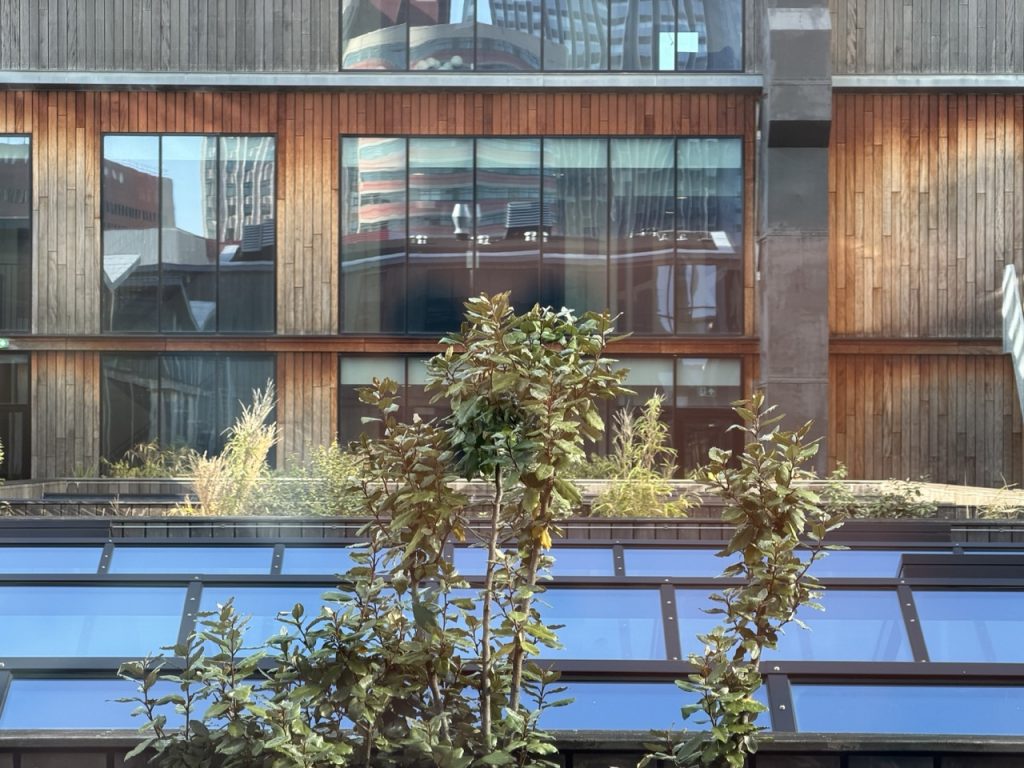 TEST: Apple iPhone 17 Pro 6 IMG 0053 – stor