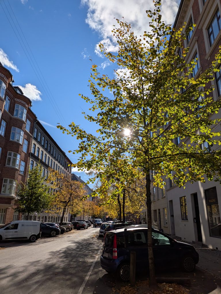 TEST: Google Pixel 10 Pro Fold 6 1300 1