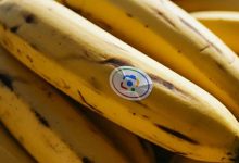 Google Fotos får nye superkræfter fra Nano Banana 2 Google Fotos