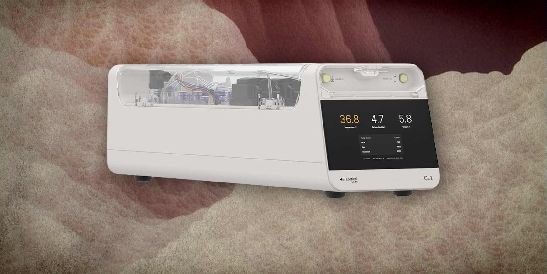 Forskere bygger biocomputer af levende hjerneceller 4 biocomputer