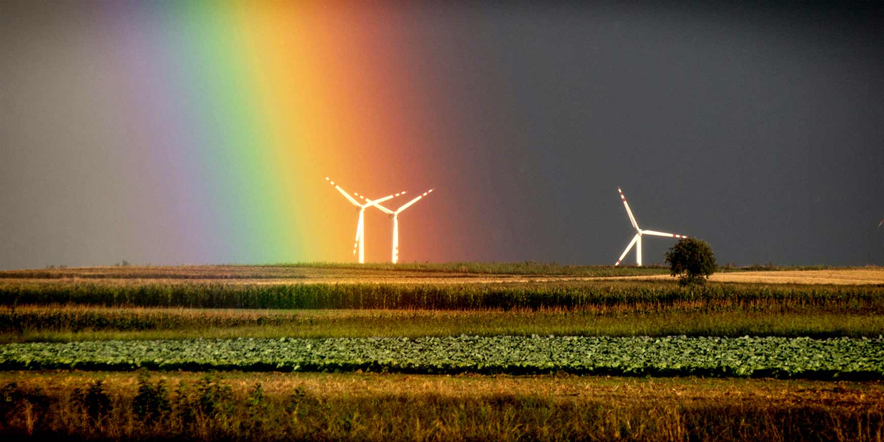 Vind og sol overhaler fossile brændsler i EU 8 vind
