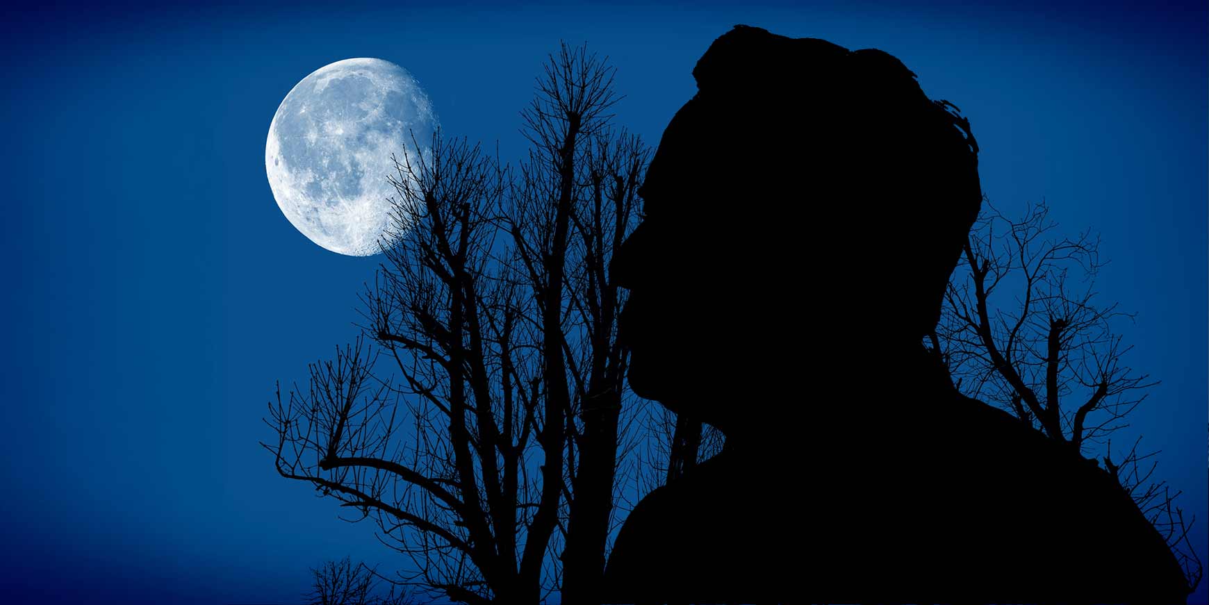 Elon Musk vil bygge en by på Månen inden 10 år 1 Elon Musk