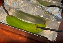 Ingen kunne høre forskel på hifi-kabel og en banan 2 banan