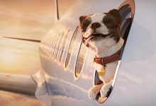 Nu får 3-kunder gratis WiFi på SAS-fly 2 gratis wifi