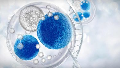 Biokompatible kvantesensorer kan se ind i levende celler 6 kvantesensorer